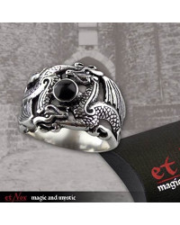 Silberring 'Double Dragon' - vergleichen und g&uuml;nstig kaufen